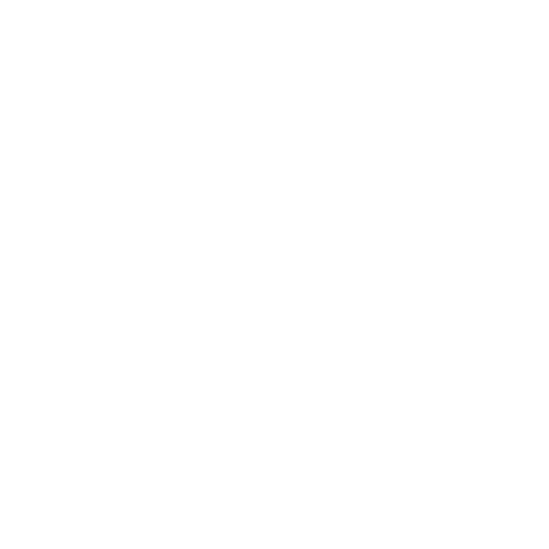 WitnessFootage